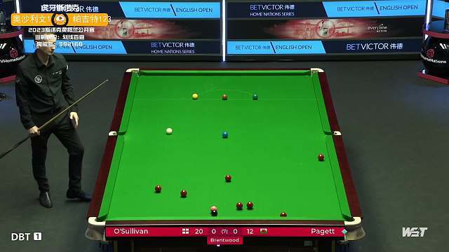 但在新生力 但在新生力